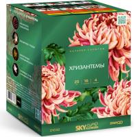 Хризантемы Фейерверк купить в Калининграде | kaliningrad.salutsklad.ru