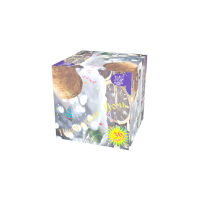 Новогодняя ночь Салют купить в Калининграде | kaliningrad.salutsklad.ru