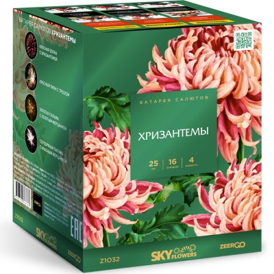 Хризантемы Фейерверк купить в Калининграде | kaliningrad.salutsklad.ru