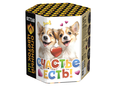 Счастье есть! Салют купить в Калининграде | kaliningrad.salutsklad.ru